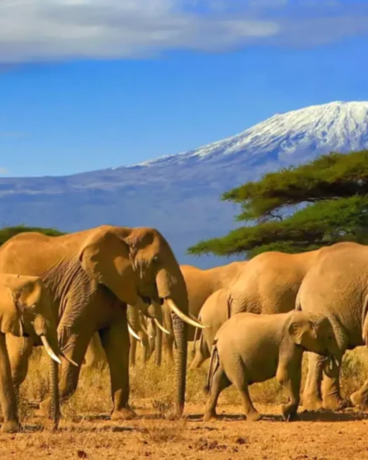 Tanzania